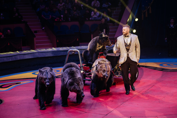 &TScy;&icy;&rcy;&kcy; &Fcy;&icy;&lcy;&acy;&tcy;&ocy;&vcy;&ycy;&khcy;&period; &Ncy;&Acy;&SHcy;&IEcy;&Scy;&Tcy;&Vcy;&Icy;&IEcy; &Mcy;&IEcy;&Dcy;&Vcy;&IEcy;&Dcy;&IEcy;&Jcy;