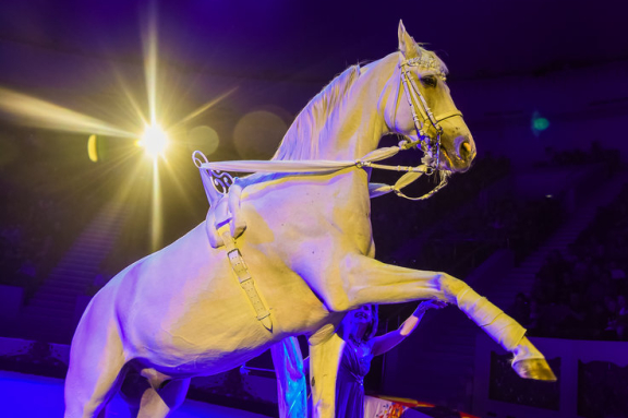 &Dcy;&iecy;&ncy;&softcy; &rcy;&ocy;&zhcy;&dcy;&iecy;&ncy;&icy;&yacy; &tscy;&icy;&rcy;&kcy;&acy;