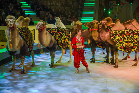 &Dcy;&iecy;&ncy;&softcy; &rcy;&ocy;&zhcy;&dcy;&iecy;&ncy;&icy;&yacy; &tscy;&icy;&rcy;&kcy;&acy;