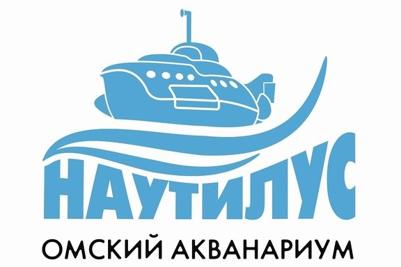 &laquo;&Ncy;&acy;&ucy;&tcy;&icy;&lcy;&ucy;&scy;&raquo;