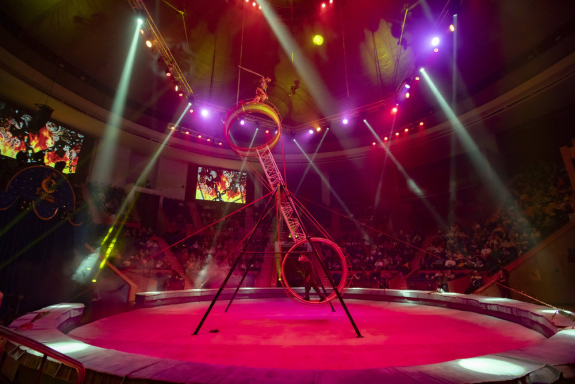 &TScy;&icy;&rcy;&kcy; &Fcy;&icy;&lcy;&acy;&tcy;&ocy;&vcy;&ycy;&khcy;&period; &Ncy;&Acy;&SHcy;&IEcy;&Scy;&Tcy;&Vcy;&Icy;&IEcy; &Mcy;&IEcy;&Dcy;&Vcy;&IEcy;&Dcy;&IEcy;&Jcy;