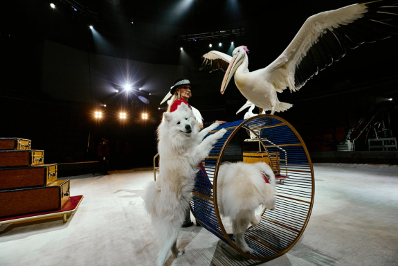 &TScy;&icy;&rcy;&kcy; &Fcy;&icy;&lcy;&acy;&tcy;&ocy;&vcy;&ycy;&khcy;&period; &Ncy;&Acy;&SHcy;&IEcy;&Scy;&Tcy;&Vcy;&Icy;&IEcy; &Mcy;&IEcy;&Dcy;&Vcy;&IEcy;&Dcy;&IEcy;&Jcy;