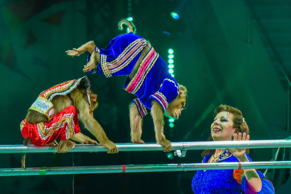 &Dcy;&iecy;&ncy;&softcy; &rcy;&ocy;&zhcy;&dcy;&iecy;&ncy;&icy;&yacy; &tscy;&icy;&rcy;&kcy;&acy;