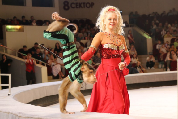 Империя львиц