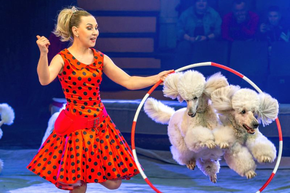 Новогодняя история: Клоун, ёлка, чудеса!