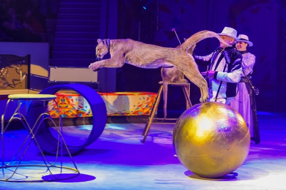 &Dcy;&iecy;&ncy;&softcy; &rcy;&ocy;&zhcy;&dcy;&iecy;&ncy;&icy;&yacy; &tscy;&icy;&rcy;&kcy;&acy;