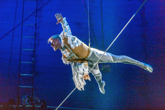 Новогодняя история: Клоун, ёлка, чудеса!