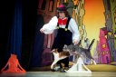 Московский театр кошек В. Куклачёва — «Танцующие Кошки»