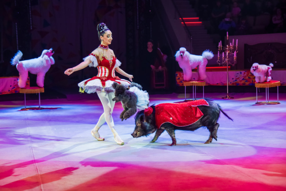 &Dcy;&iecy;&ncy;&softcy; &rcy;&ocy;&zhcy;&dcy;&iecy;&ncy;&icy;&yacy; &tscy;&icy;&rcy;&kcy;&acy;