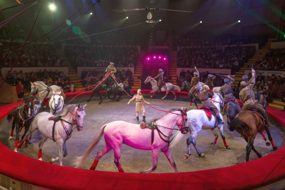 Новогодняя история: Клоун, ёлка, чудеса!