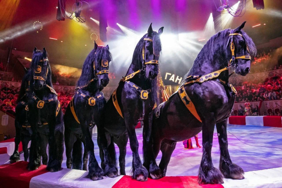 &Bcy;&acy;&lcy;&acy;&gcy;&acy;&ncy;