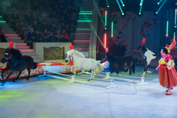 &Dcy;&iecy;&ncy;&softcy; &rcy;&ocy;&zhcy;&dcy;&iecy;&ncy;&icy;&yacy; &tscy;&icy;&rcy;&kcy;&acy;