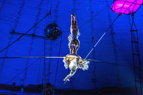 Новогодняя история: Клоун, ёлка, чудеса!