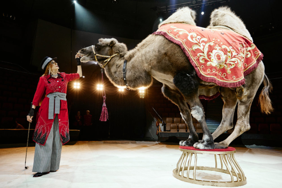 &TScy;&icy;&rcy;&kcy; &Fcy;&icy;&lcy;&acy;&tcy;&ocy;&vcy;&ycy;&khcy;&period; &Ncy;&Acy;&SHcy;&IEcy;&Scy;&Tcy;&Vcy;&Icy;&IEcy; &Mcy;&IEcy;&Dcy;&Vcy;&IEcy;&Dcy;&IEcy;&Jcy;