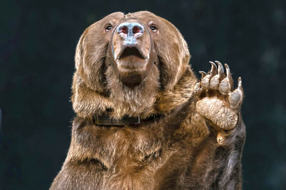 Новогодняя история: Клоун, ёлка, чудеса!